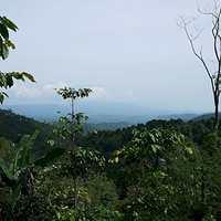 Photo de Bali - Autour de Munduk